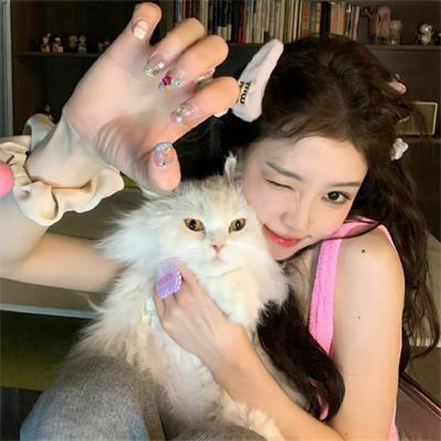 奥特曼英雄传Z 英雄的圣战